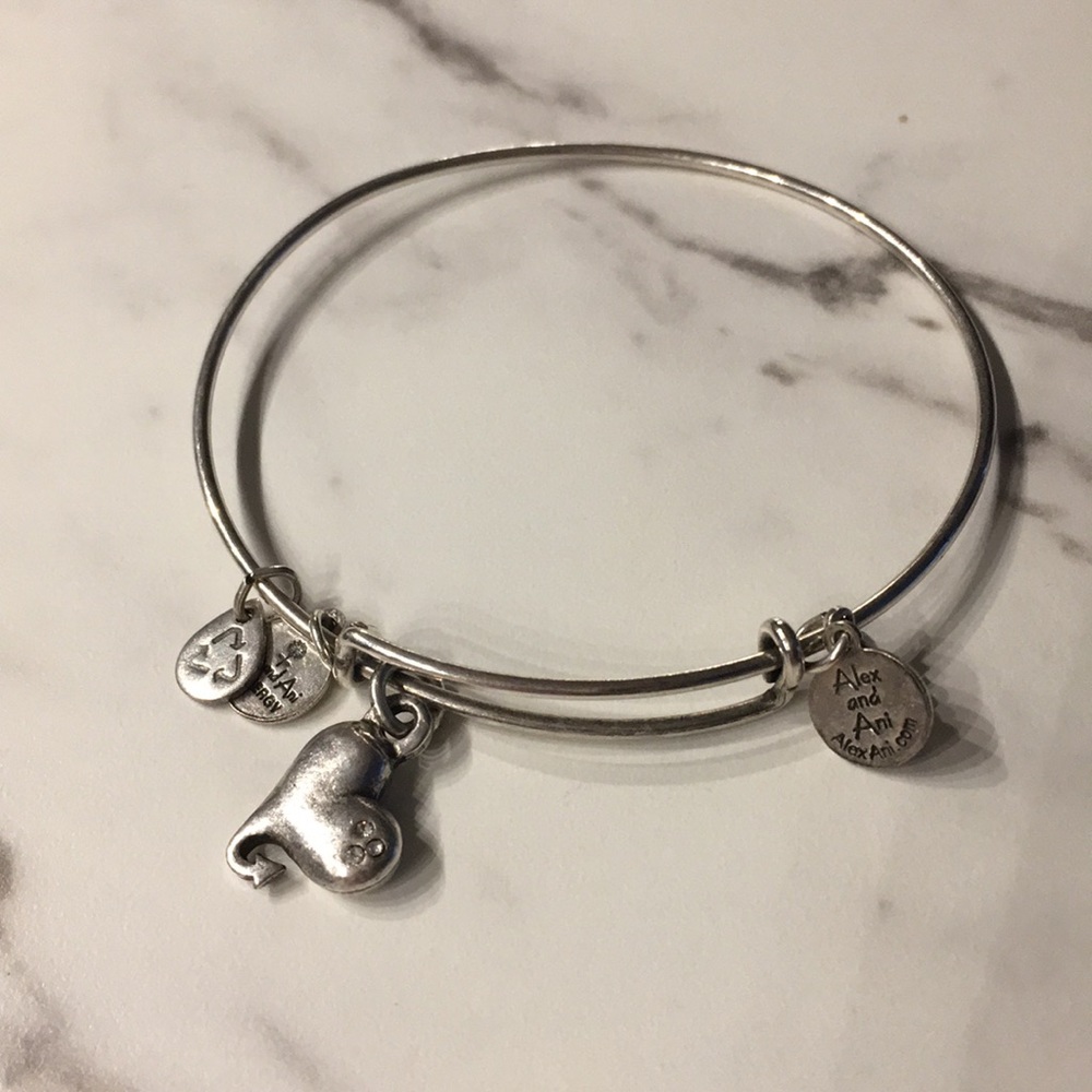 Alex and Ani Bangle